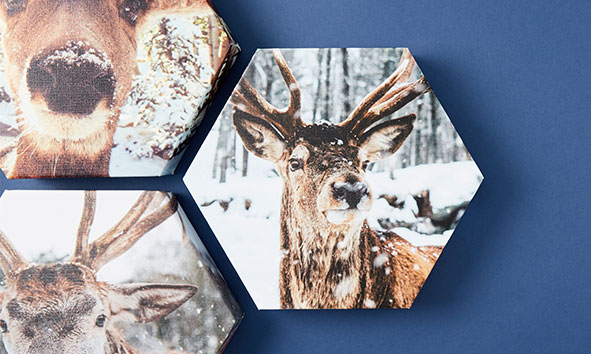 Photo sur toile hexagonale