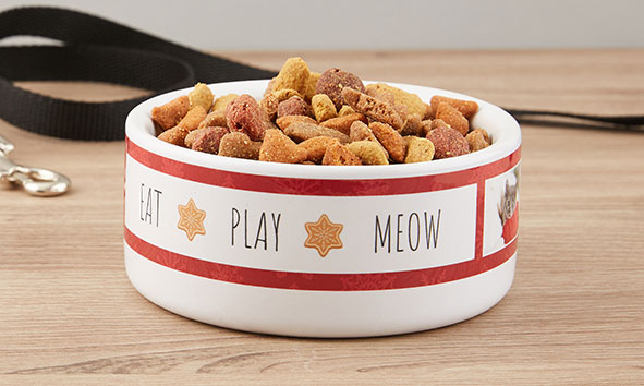 Pet Bowls